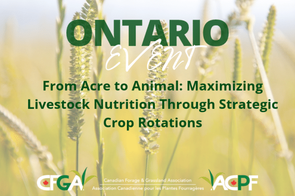 From Acre to Animal: Maximizing Livestock Nutrition Through Strategic Crop Rotations