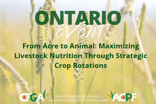 From Acre to Animal: Maximizing Livestock Nutrition Through Strategic Crop Rotations From