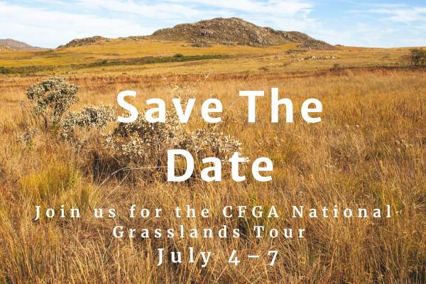 Grasslands Grazing Mentor Tour