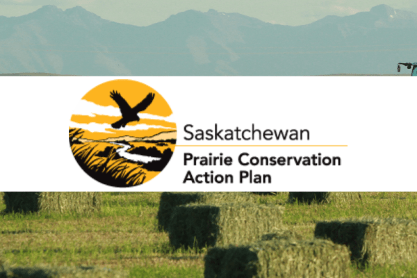 Ground Truth Data Collection for National Grassland Inventory - Native Prairie Restoration