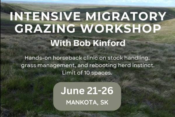 Intensive Migratory Grazing with Bob Kinford: Mankota, SK