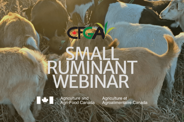 Jan 27: Small Ruminant Webinar Series