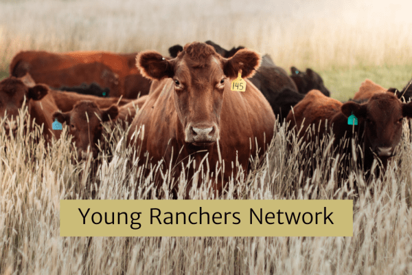 January Young Ranchers Network Meeting