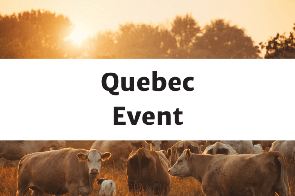 Journée champêtre bovine 2025