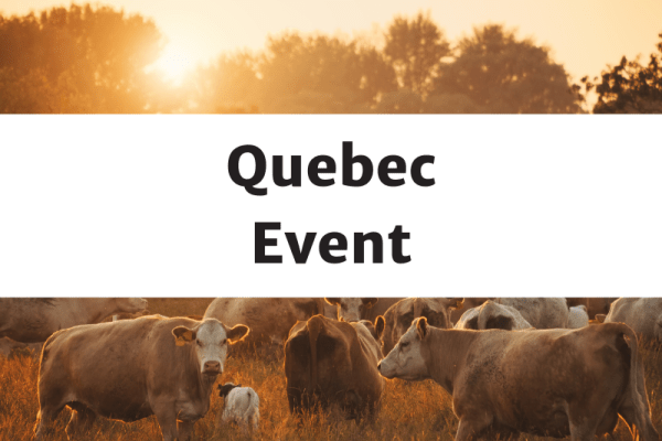 Le bœuf au service de la biodiversité - St. André D’Avellin, Quebec