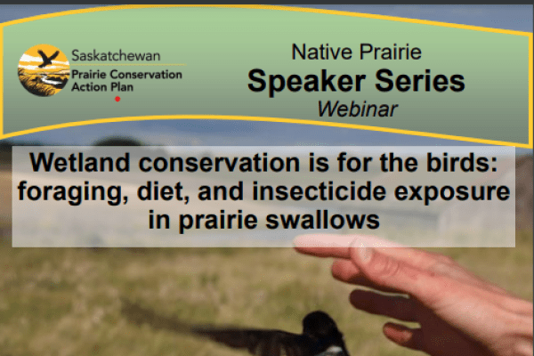 Native Prairie Speaker Series Webinar - Wetland conservation is for the birds