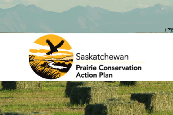 Native Prairie Speaker Series: Wood Buffalo Whooping Cranes