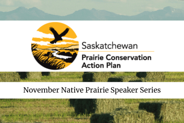 November Native Prairie Speaker Series - Growing Canada’s Native Seed Industry