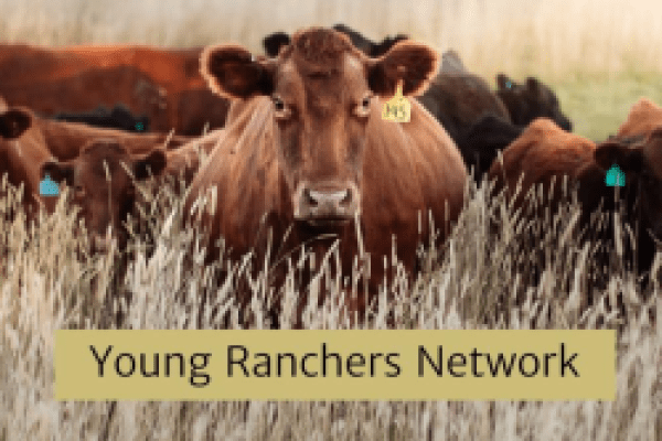 November Young Ranchers Network Meeting