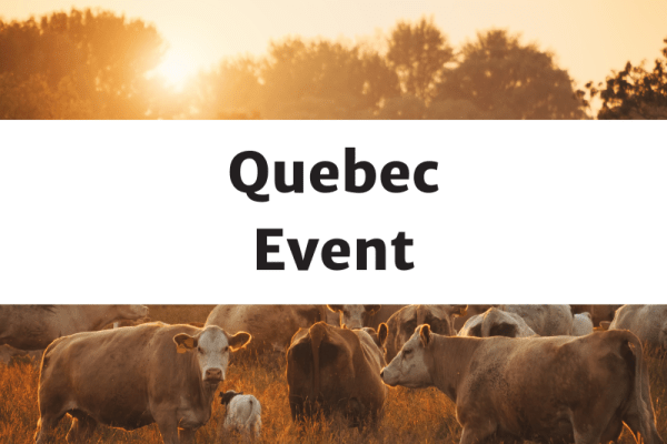 Pâturage Connecté Abitibi