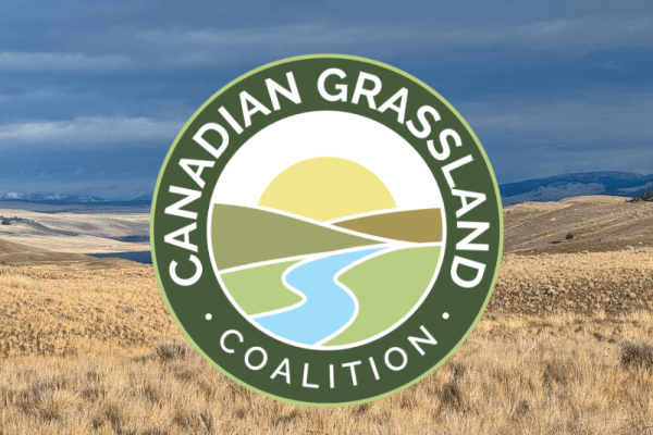 Rethinking Urban Grasslands: Disturbance, Stewardship and Public Engagement