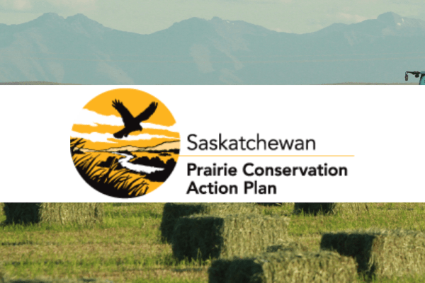 Tracking Grassland Change in Canada, USA and Mexico