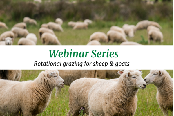 Webinar Series: Forage Management and Soil Health