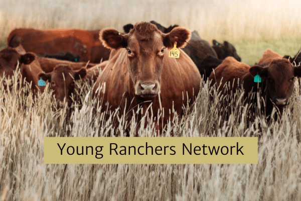 Young Ranchers Network - February meet up