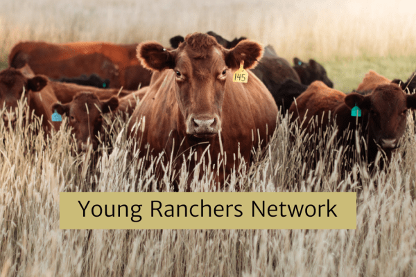 Young Ranchers Network - January meet up on Virtual Fencing Technology