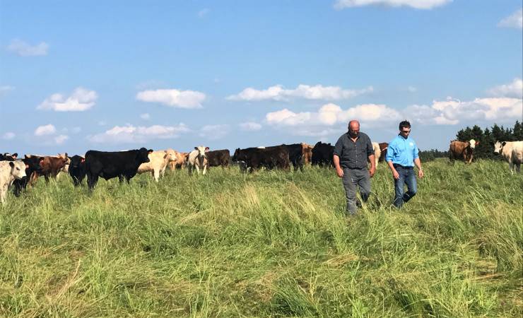 Canada Grassland Protocol