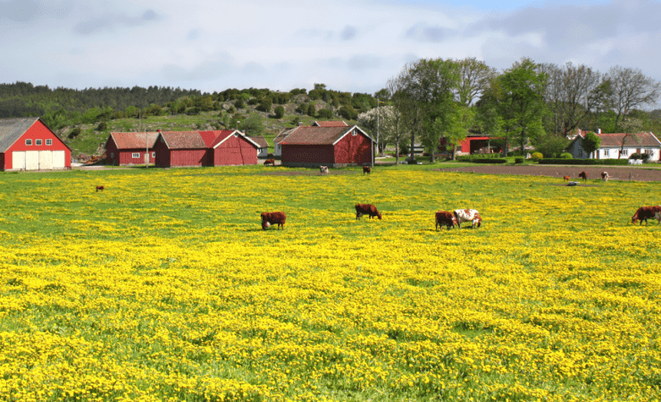 Fonds d’action à la ferme pour le climat
