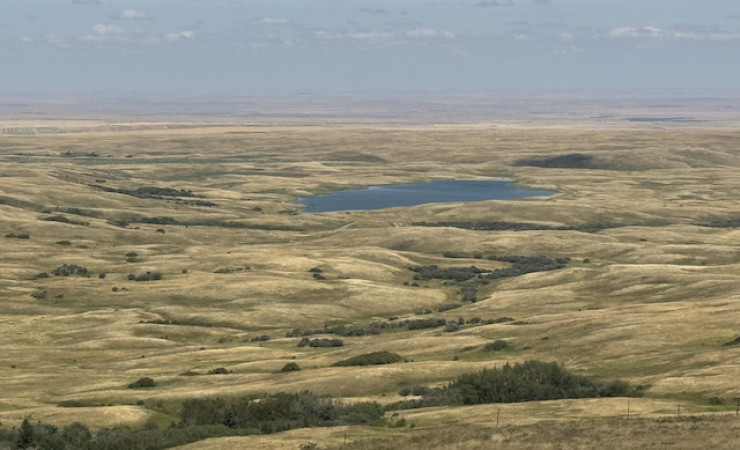 Grassland Learning & Knowledge Hub
