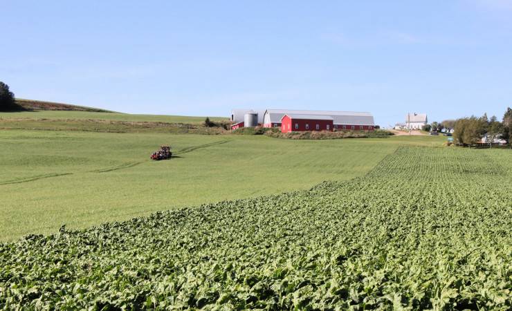Crop field with red barn and tractor in the distance