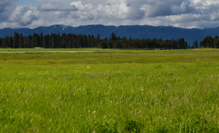 National Grassland Inventory