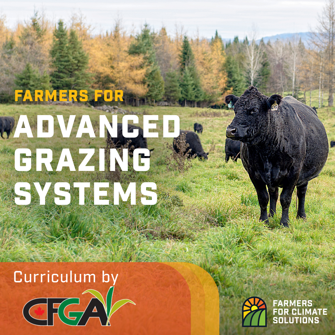 Stream_Advanced_Grazing-FB___IG